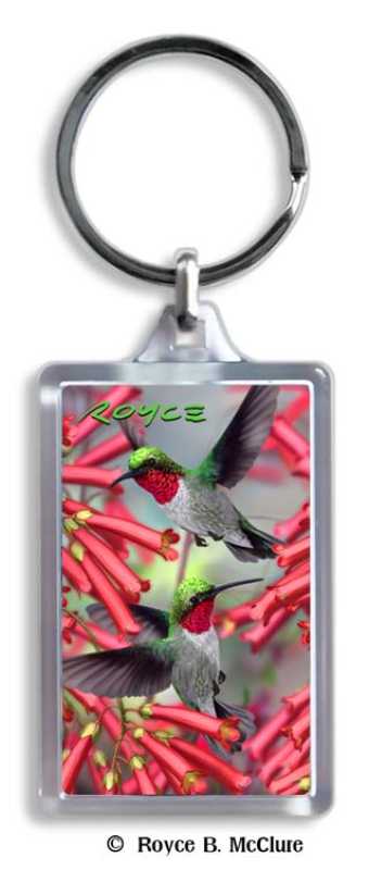Schlüsselanhänger Kolibris